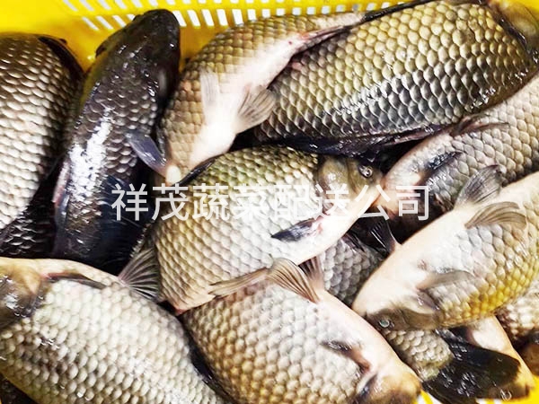 鱼类配送