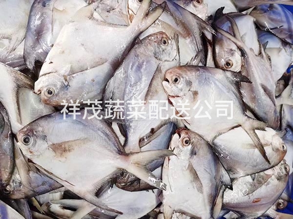 新鲜鱼肉配送