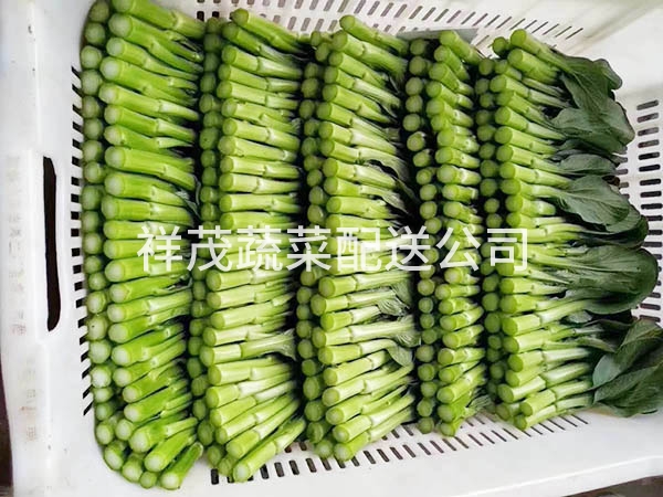 绿色青菜配送
