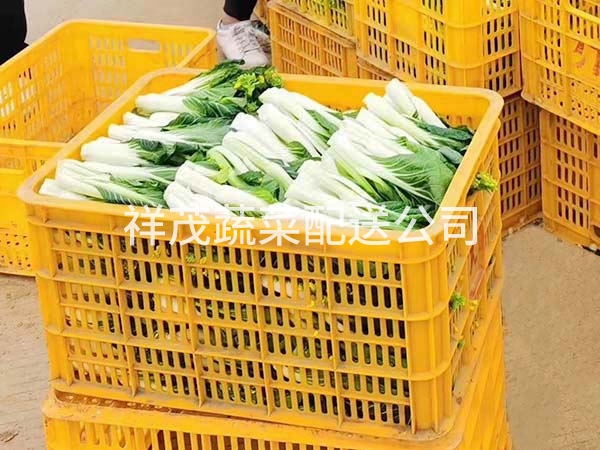 蔬菜批发服务商