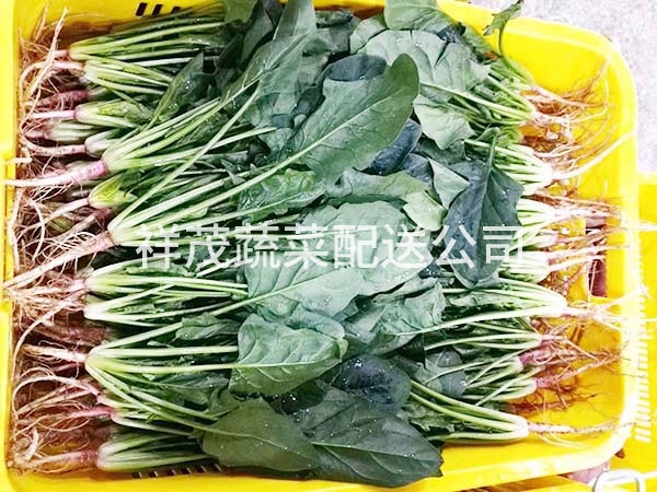 天然蔬菜配送