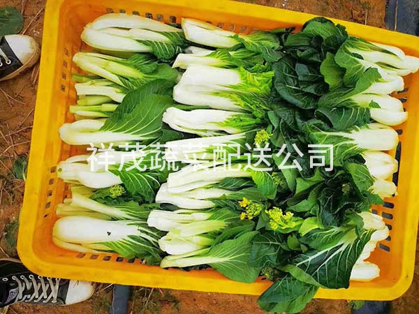 新鲜青菜配送